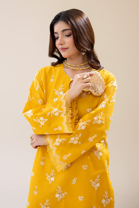 IP-206 | MEHER