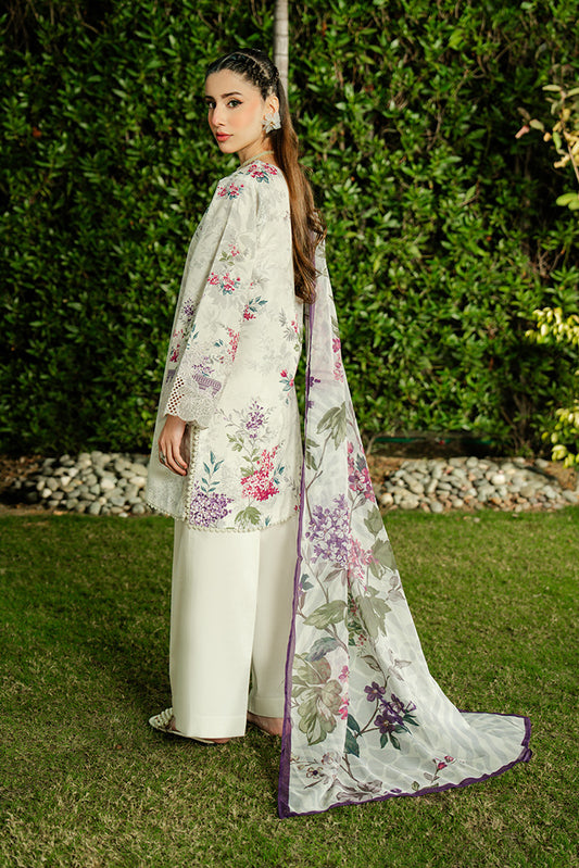SL-144 Ivory Wisteria